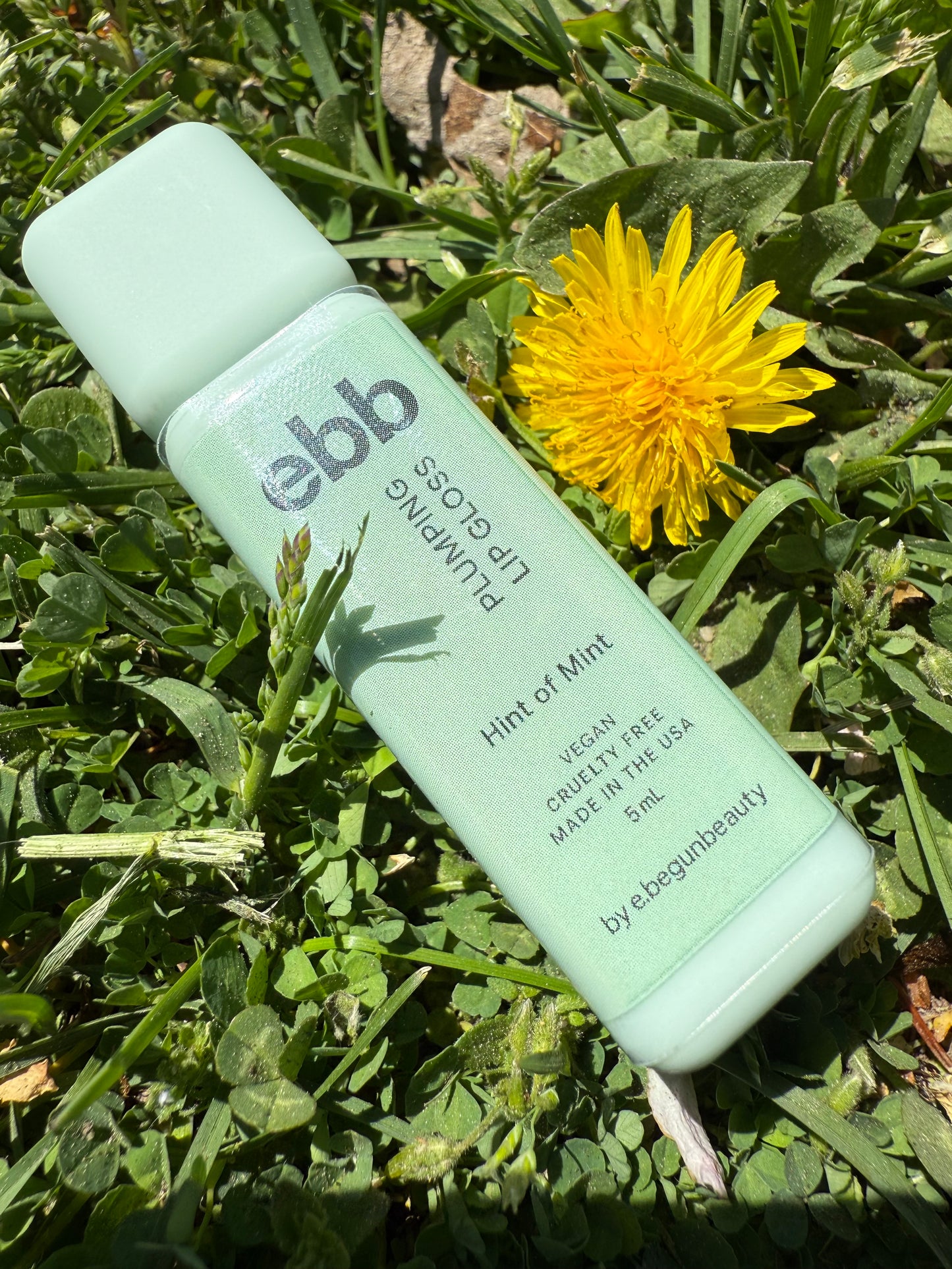 ebb hydrating plumping lip gloss